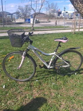 Žensko cestno kolo MUDDYFOX