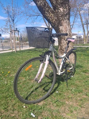 Žensko cestno kolo MUDDYFOX