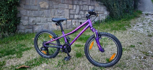 Specialized hotrock 20col