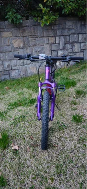 Specialized hotrock 20col
