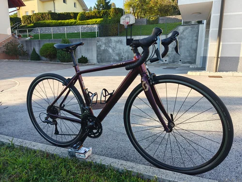 SCOTT Speedster contessa 25, 2021