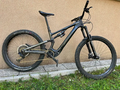 Specialized Turbo Levo SL Gen.2 Custom