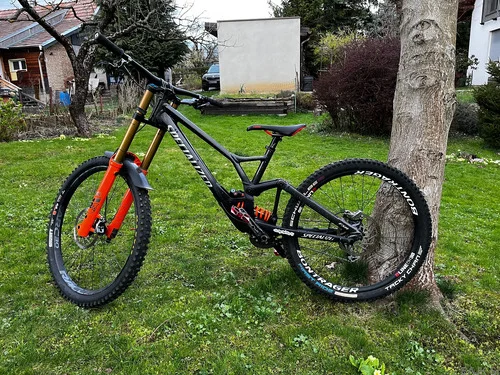 specialized demo custom build