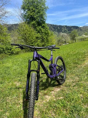 Giant Reign SX 2022 (design 2021).