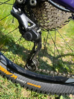 Giant Reign SX 2022 (design 2021).