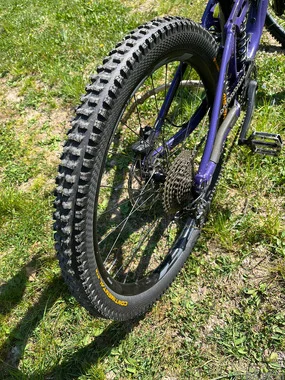 Giant Reign SX 2022 (design 2021).