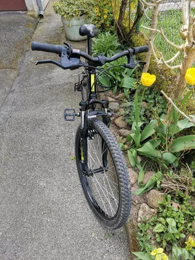 Dobro ohranjeno kolo ROCKRIDER