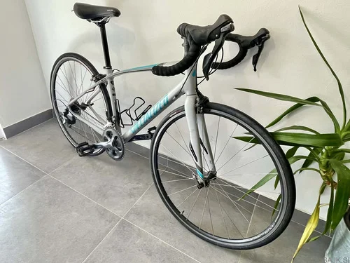 ŽENSKO SPECIALIZED Dolce (S)