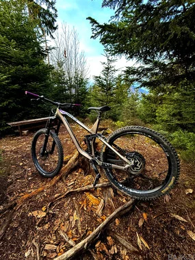 NS bikes define AL 170