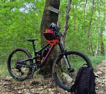 Propain Tyee 6.1 CF, L (2025)