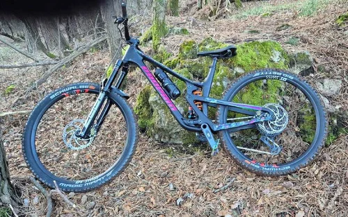 Propain Tyee 6.1 CF, L (2025)