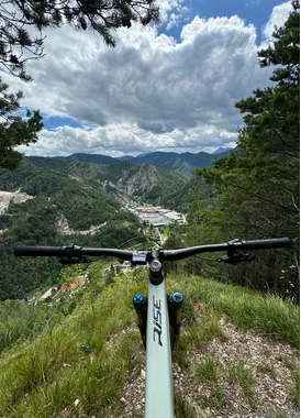 Orbea Rise M-team 16KG