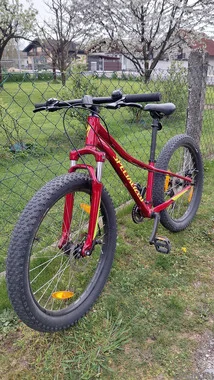 Specialized Riprock 24