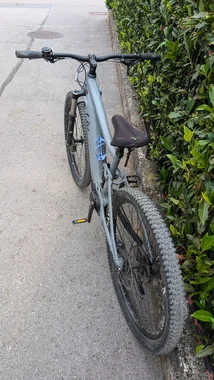 E-Bike Giant Liv Embolden E+ 2 29 2021 Damen