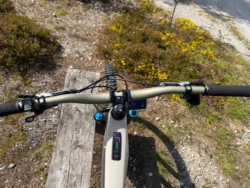 Pivot Shuttle AM Pro X0 Eagle Transmission Medium