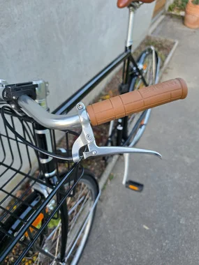 mestno kolo Specialized Globe Daily 1, XL