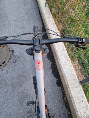 Specialized enduro comp