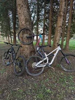 Canyon Tourqe Al 5, L okvir