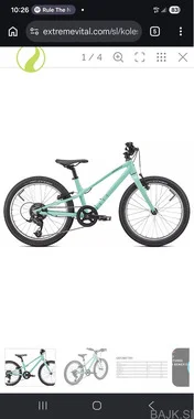 Otroško kolo Jett 20 2025 gloss oasis forest green