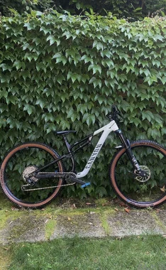 Canyon neuron 6 2023