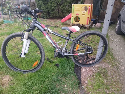 Cannondale trail 24,