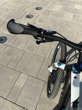 CANYON 29'' Nerve AL