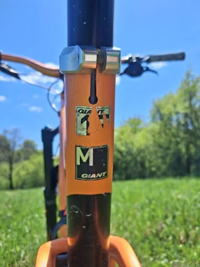 Giant reign 1.5 ltd 2019