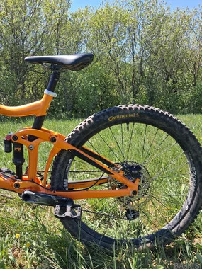 Giant reign 1.5 ltd 2019