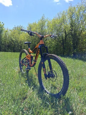 Giant reign 1.5 ltd 2019