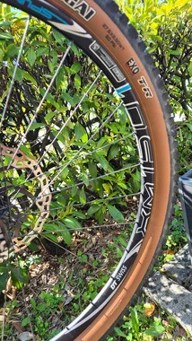 Giant Reign Advanced 0