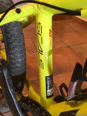 Scott Scale 24" - Disk