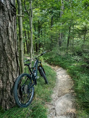 Orbea rallon M10 XL