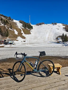 Corratec C2 vel L 54