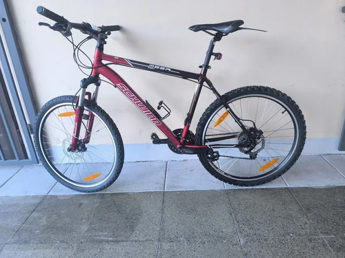 Schwinn MesaG50