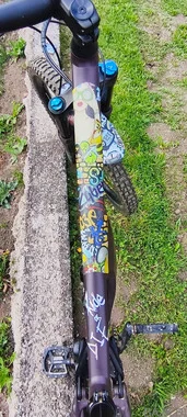 Specialized Stumpjumper L