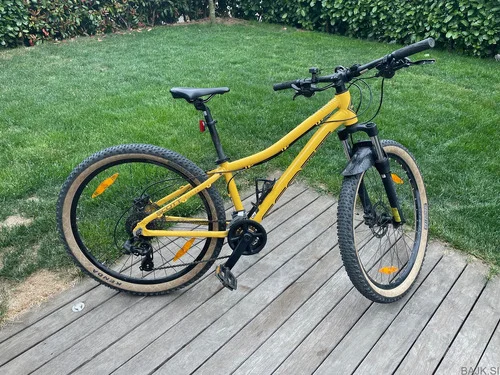 SCOTT  roxter 26 DISC