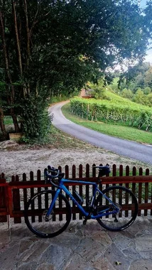 Karbonsko gravel kolo Cube Nuroad C:62 RACE (velikost M)