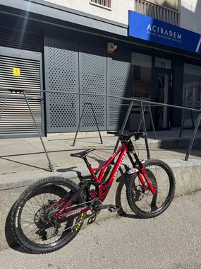 Specialized Demo Race (downhill, enduro)