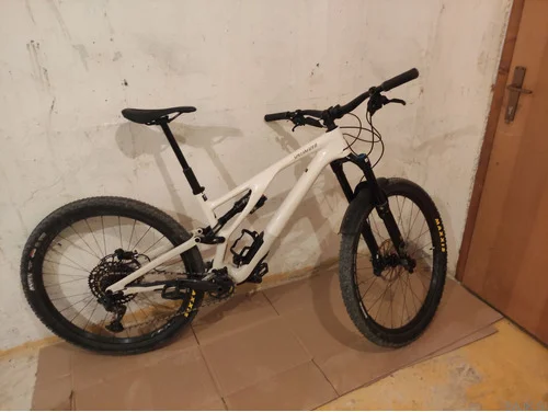 Specialized Stumpjumper EVO expert