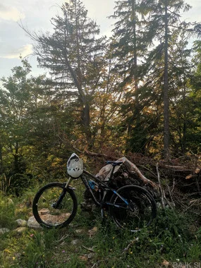 Trek Slash 7 - M - 2013