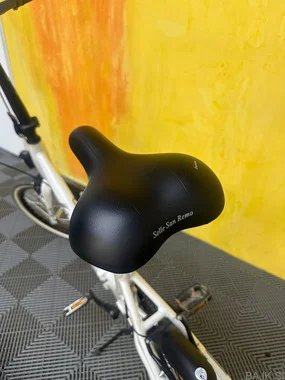 Rog Pony sport racer