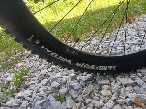 Kellys Gibon 30 27.5