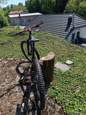 Giant stance 2023