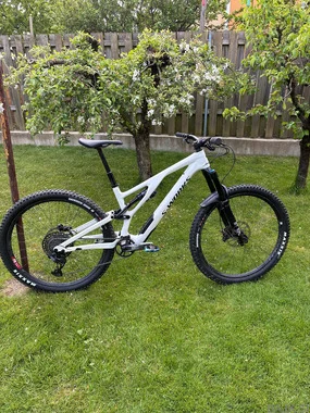 Stumpjumper s-works