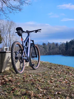 Cube StereoOne 22 Hybrid 2025