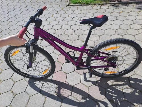 Kolo BERGAMONT 24"