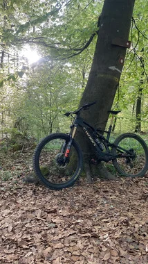 Specialized s-works Levo SL velikost L
