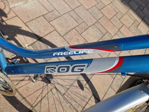 ROG žensko mestno kolo