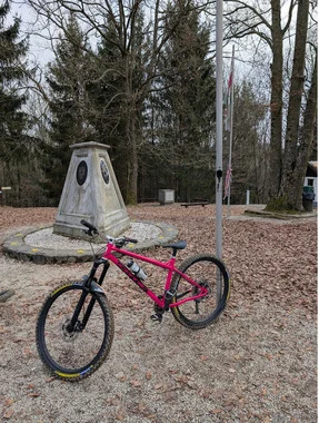 Cotic BFeMax