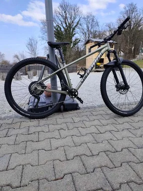Specialized Rockhopper 29 M